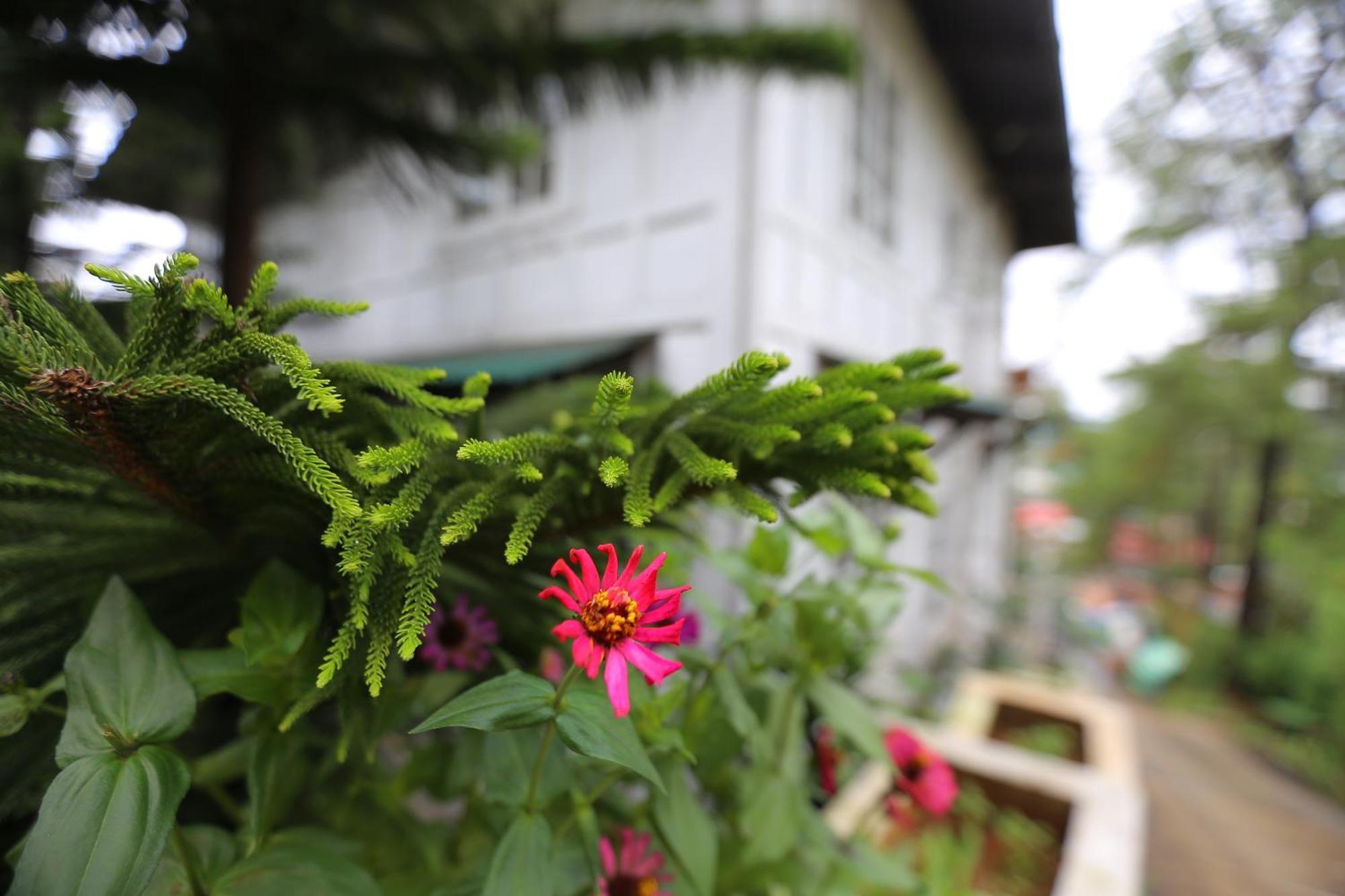 Casa Vallejo Hotel Baguio Багио Экстерьер фото